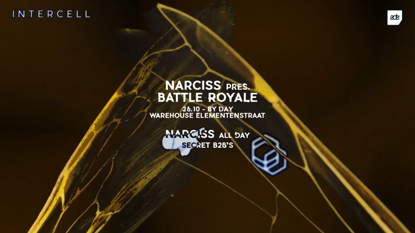 Intercell x Narciss pres. Battle Royale - ADE By Day