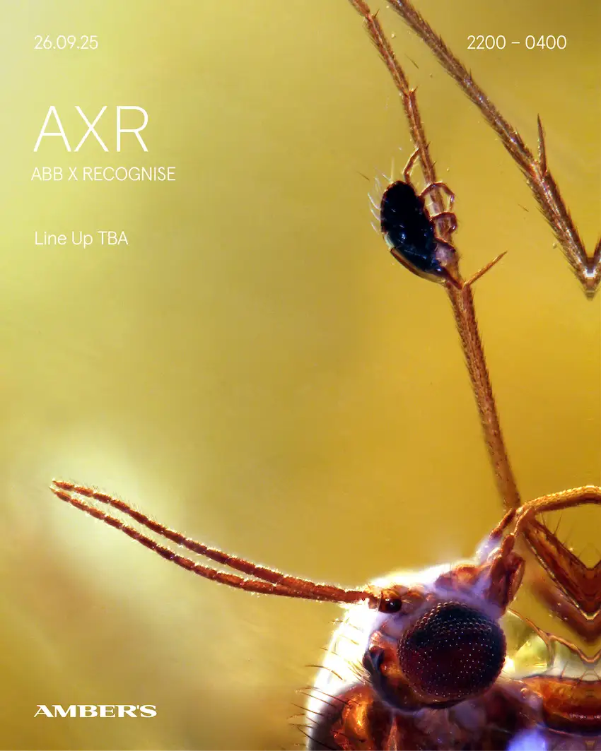 AXR: (ABB X RECOGNISE) - Line Up TBA