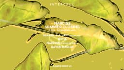 Intercell Outdoor x Narciss - Summer Closing