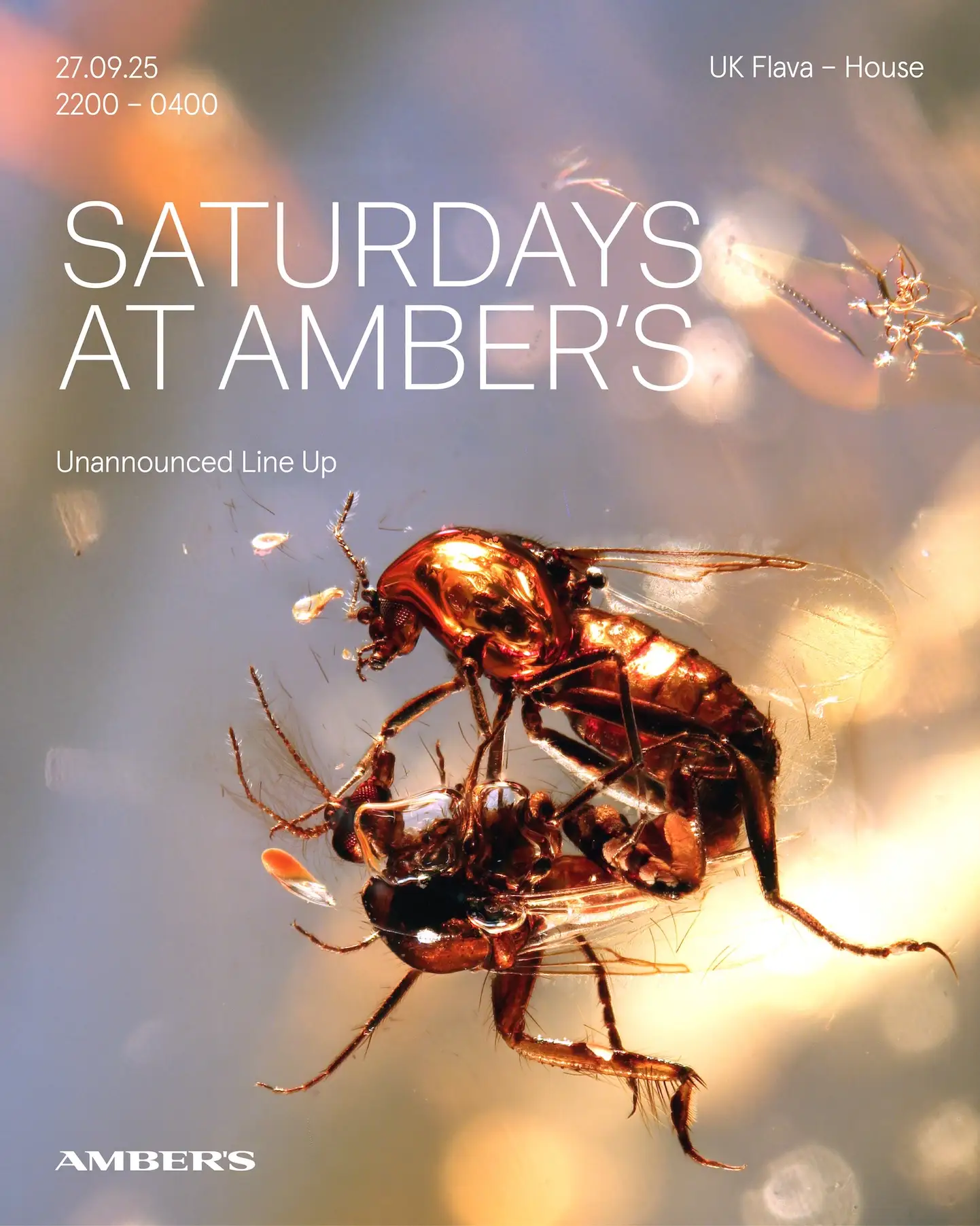 Saturdays at Amber's: UK Flava - House